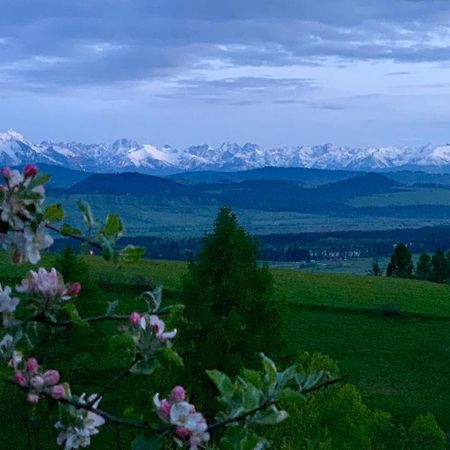 Koza U Woza Wypocznij W Gorach W Rytmie Slow Drewniany Dom Premium Z Widokiem Na Panorame Tatr Ecospa Strefa Fitness Zielona Farma Warsztaty (Adults Only) Szlembark Exteriör bild