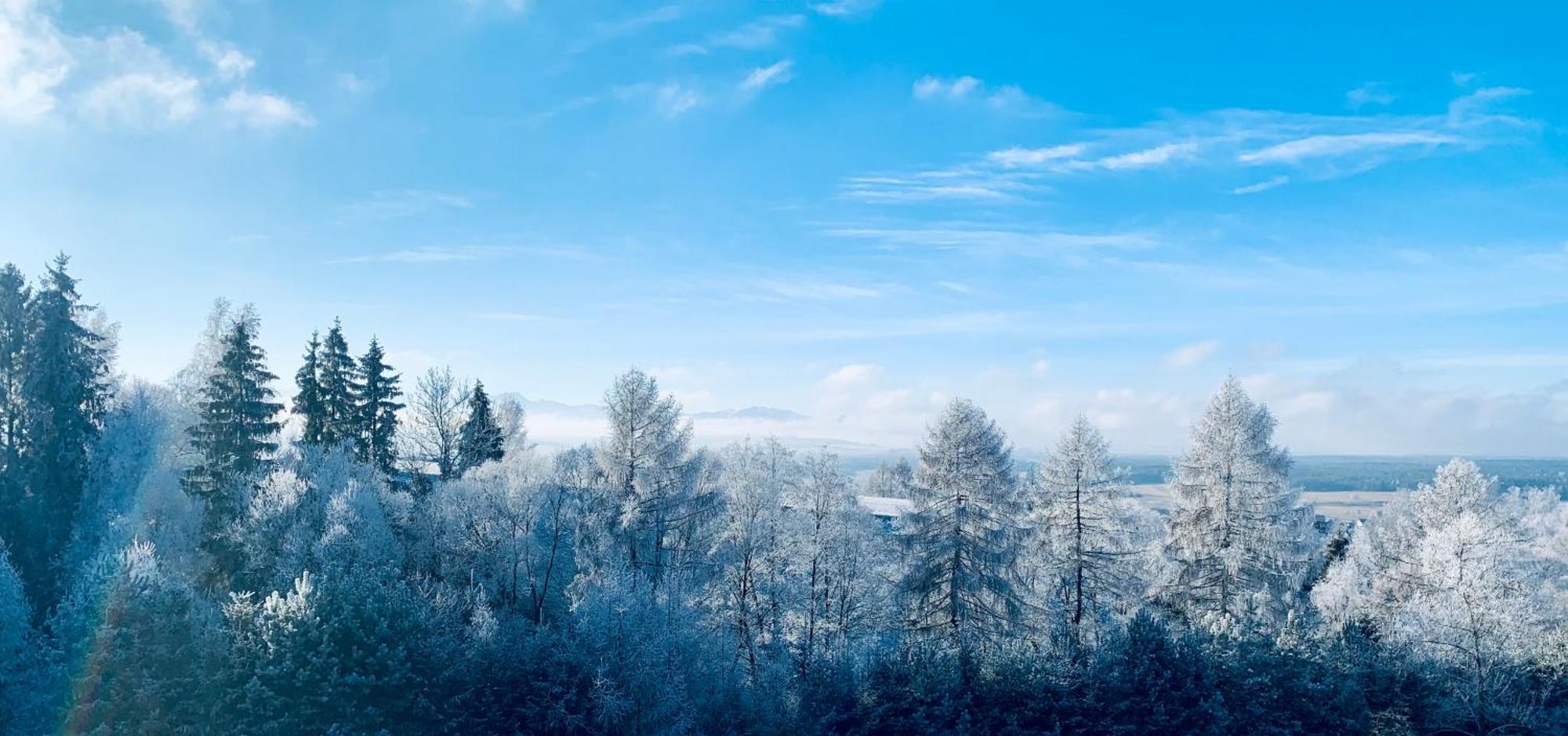 Koza U Woza Wypocznij W Gorach W Rytmie Slow Drewniany Dom Premium Z Widokiem Na Panorame Tatr Ecospa Strefa Fitness Zielona Farma Warsztaty (Adults Only) Szlembark Exteriör bild