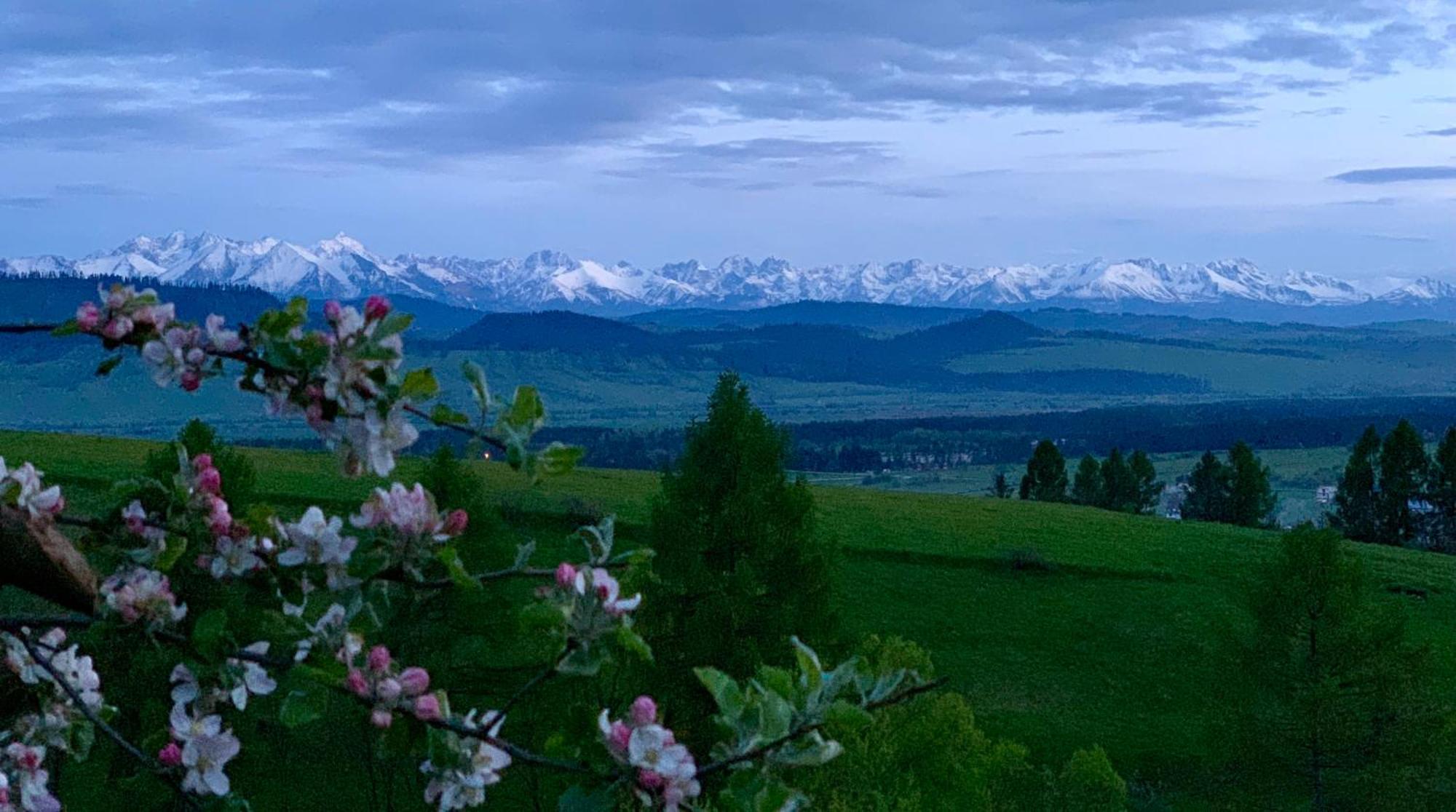 Koza U Woza Wypocznij W Gorach W Rytmie Slow Drewniany Dom Premium Z Widokiem Na Panorame Tatr Ecospa Strefa Fitness Zielona Farma Warsztaty (Adults Only) Szlembark Exteriör bild